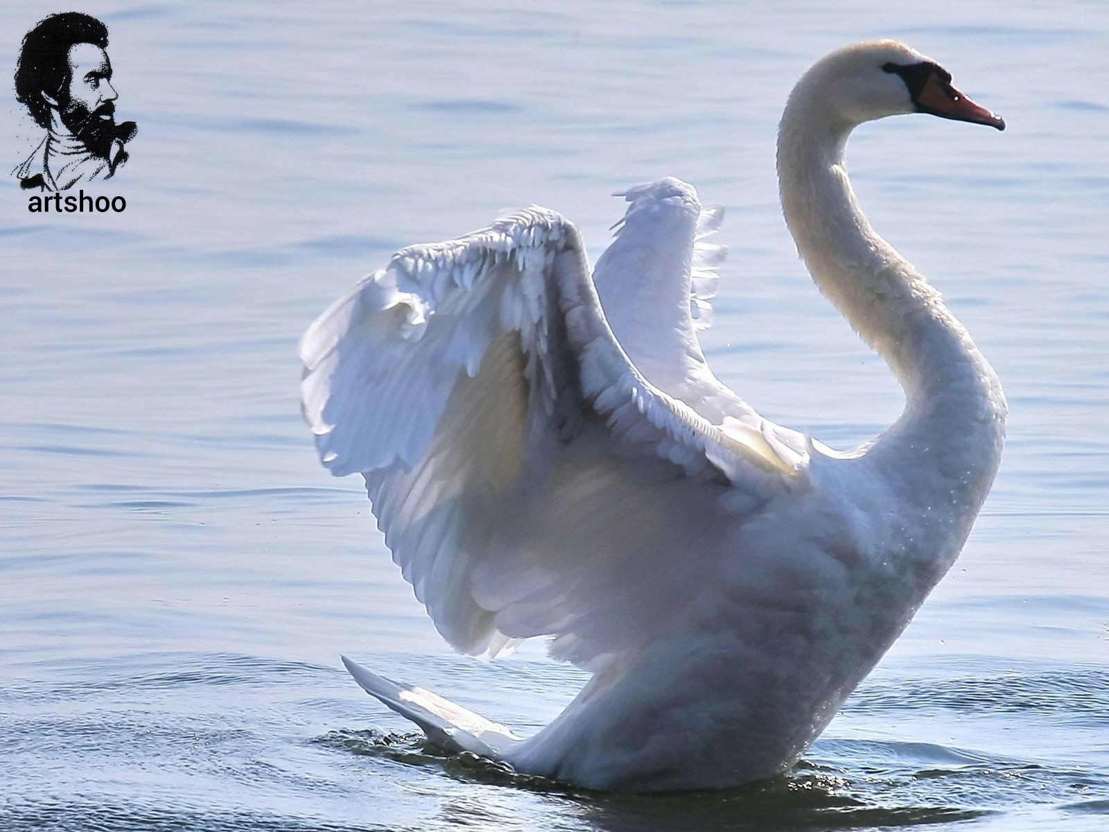 مدل رنگ روغن آب اورژینال